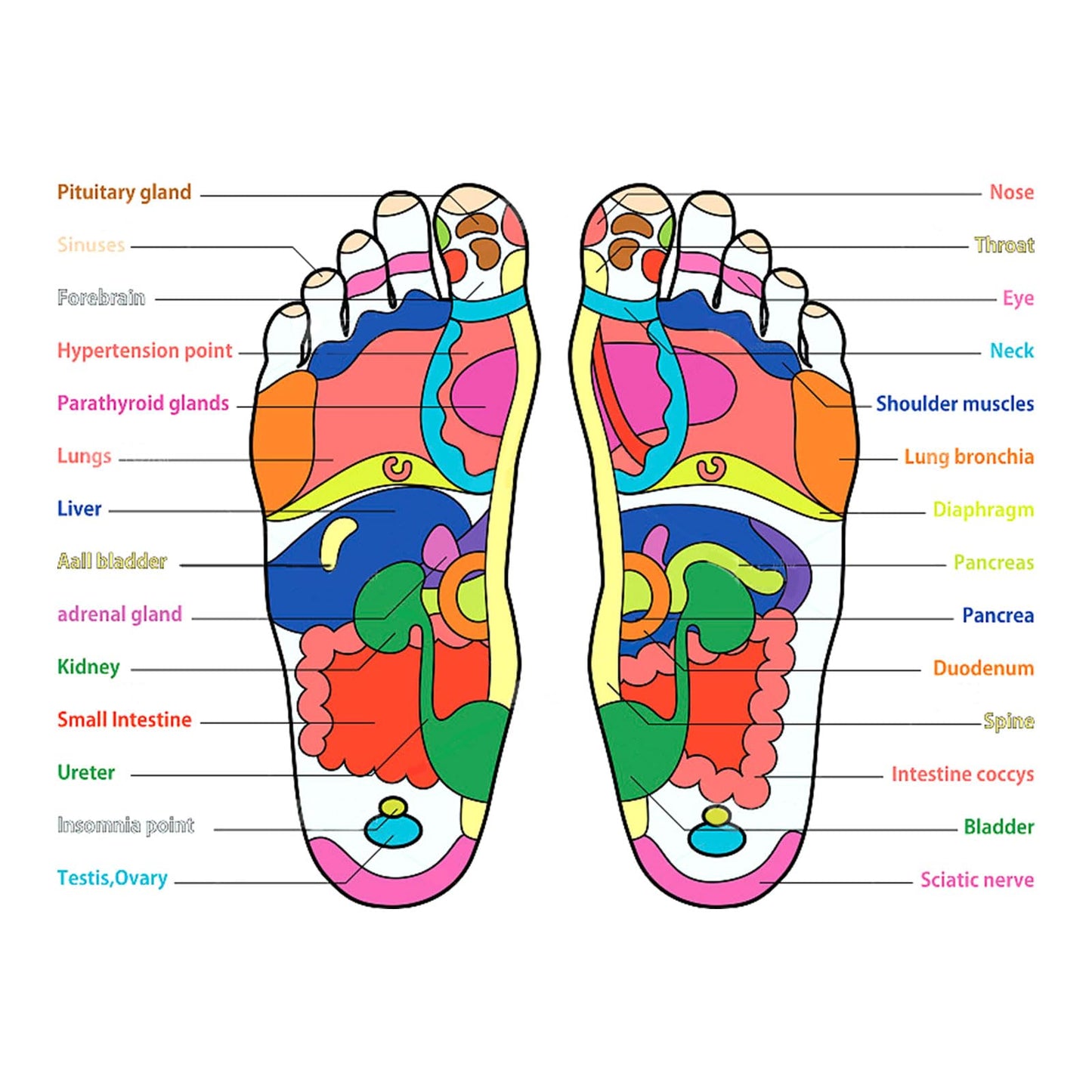 Magnetic Insoles Foot Pain Relief - Reflexology Massage & Arch Support Inserts, Trim-to-Fit Breathable for Men Women